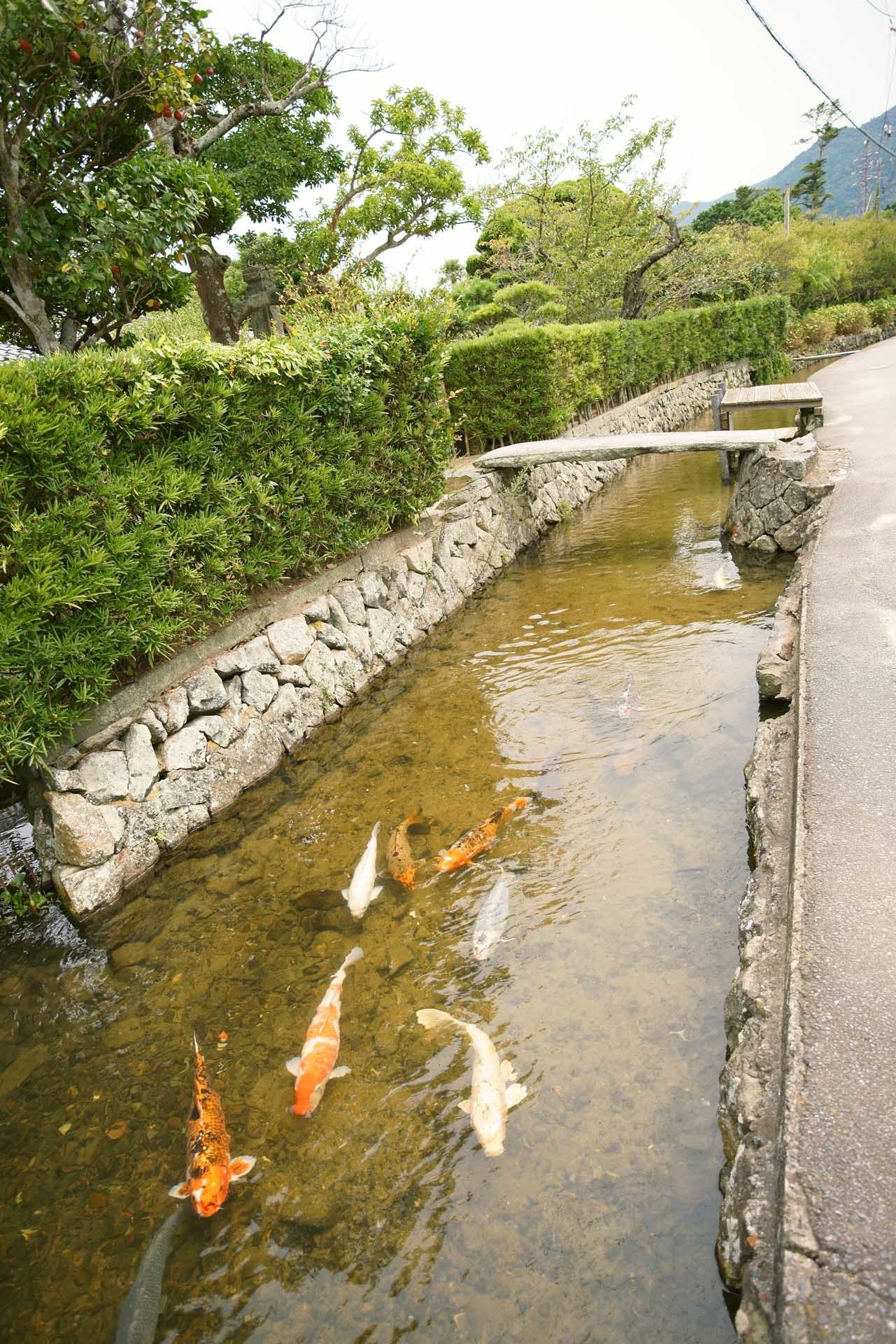 萩、下関、門司、福岡を訪ねて: 笑顔のたね